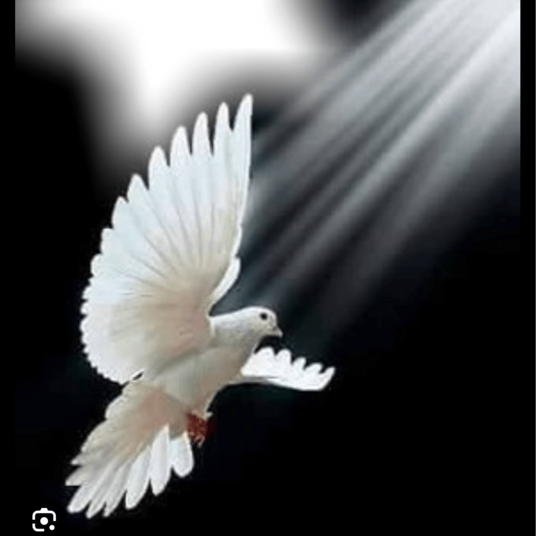 Photo d’Annick Rolande Lucette LEGRAND